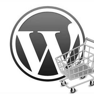 164 WP-Tonic: Differences Between an eCommerce Website vs Regular Website