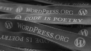 170 WP-Tonic Value of Participating in WordPress Communities
