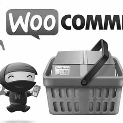 WooCommerce ninja