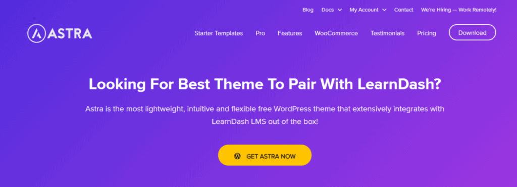 Astra is a flexible and easy-to-use LearnDash theme 
