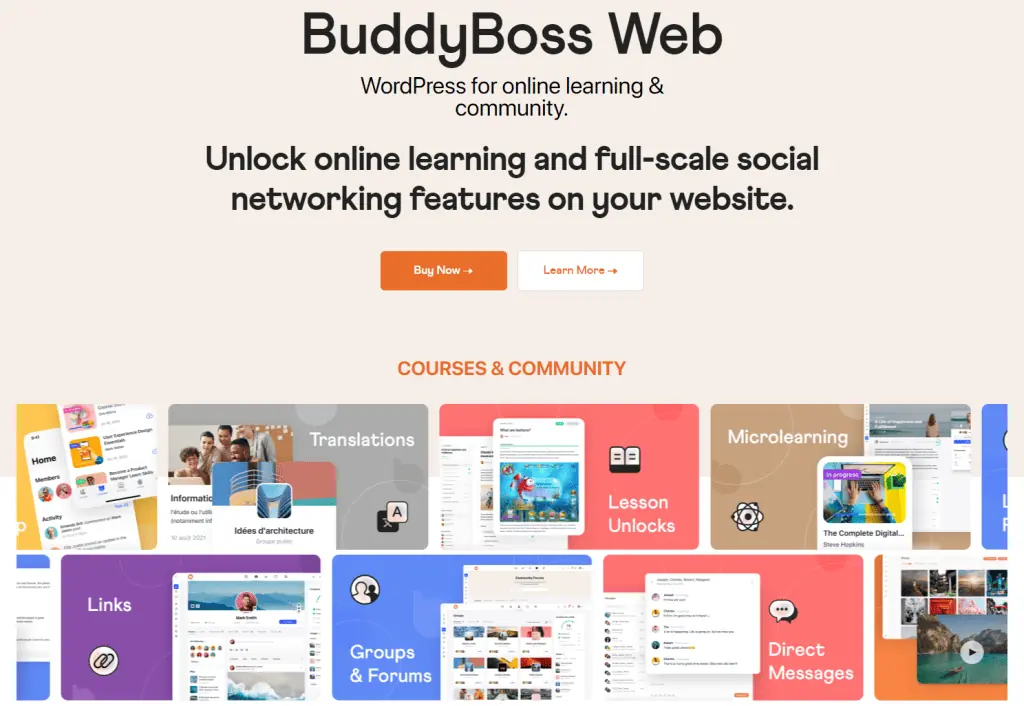 BuddyBoss